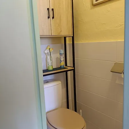 Lejlighed F3 Meuble Rdc Amelie-les-bains *